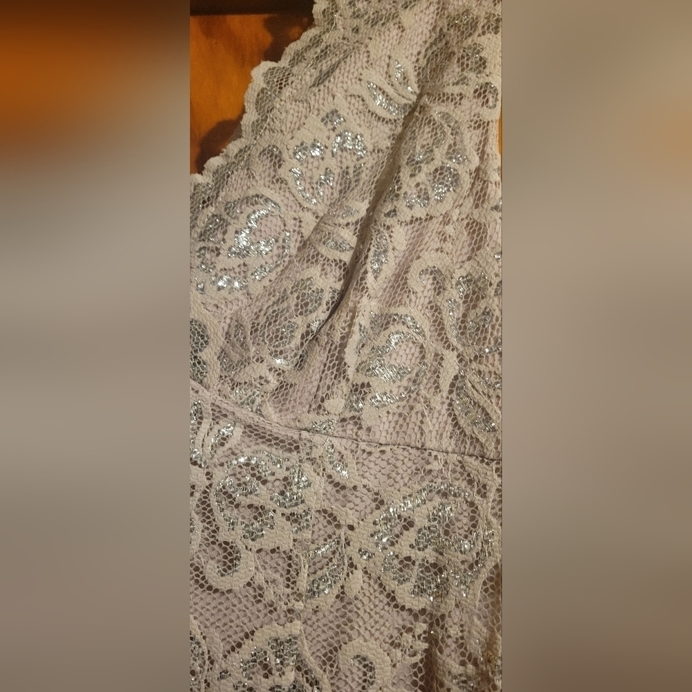 NWT Silver lace Marina dress,  Sz 12 - Picture 2 of 9